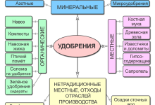 Photo of Производство удобрений и пестицидов