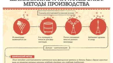 Photo of Уральское вино: секреты производства