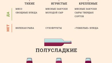 Photo of Полезные советы по виноделию