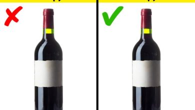 Photo of Уральское вино: как выбрать качественный продукт