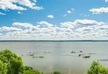 Photo of Уральское вино: влияние климата