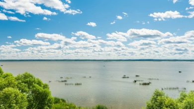 Photo of Уральское вино: влияние климата