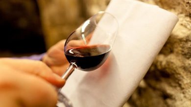 Photo of Искусство дегустации вин