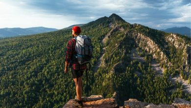Photo of Где находится производство уральского вина: лучшие места
