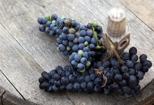 Photo of Уральское вино: лучшие сорта винограда