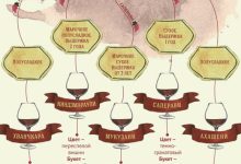 Photo of Уральское вино: сорта и производители