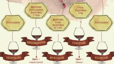 Photo of Уральское вино: сорта и производители