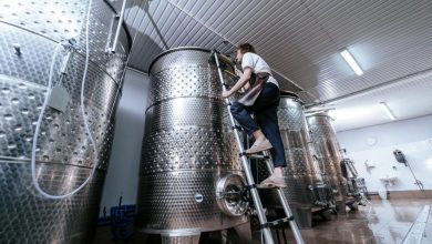 Photo of Как происходит производство уральского вина: шаг за шагом