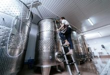 Photo of Современные технологии виноделия на Урале