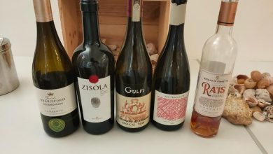 Photo of Винные традиции разных стран