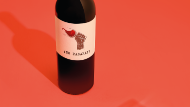 Photo of Где делают уральское вино: обзор винодельен