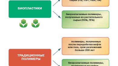 Photo of Биоразлагаемые материалы в химической промышленности