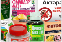 Photo of Химия для повседневной жизни