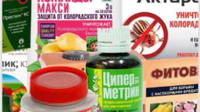 Photo of Химия для повседневной жизни