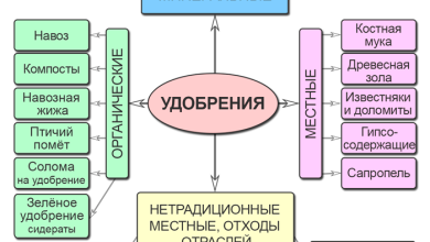 Photo of Производство удобрений и пестицидов