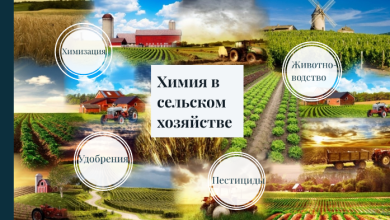 Photo of Применение химии в сельском хозяйстве